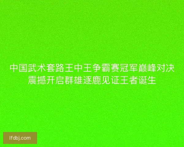 中国武术套路王中王争霸赛冠军巅峰对决震撼开启群雄逐鹿见证王者诞生